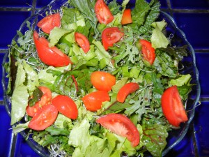 garden salad